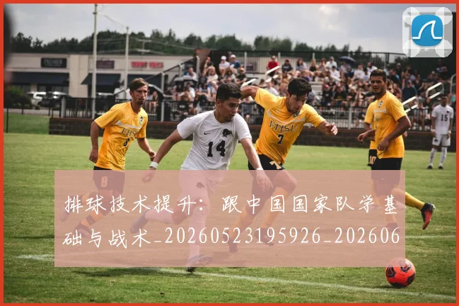 排球技术提升：跟中国国家队学基础与战术_20260523195926_20260609200951